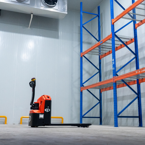 Transpallet elettrico professionale WPL202 - immagine 12
